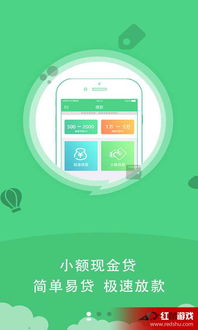 小额现金贷安卓版应用指南与互联网数据服务安全解析